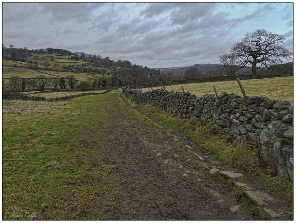 A Derbyshire dale